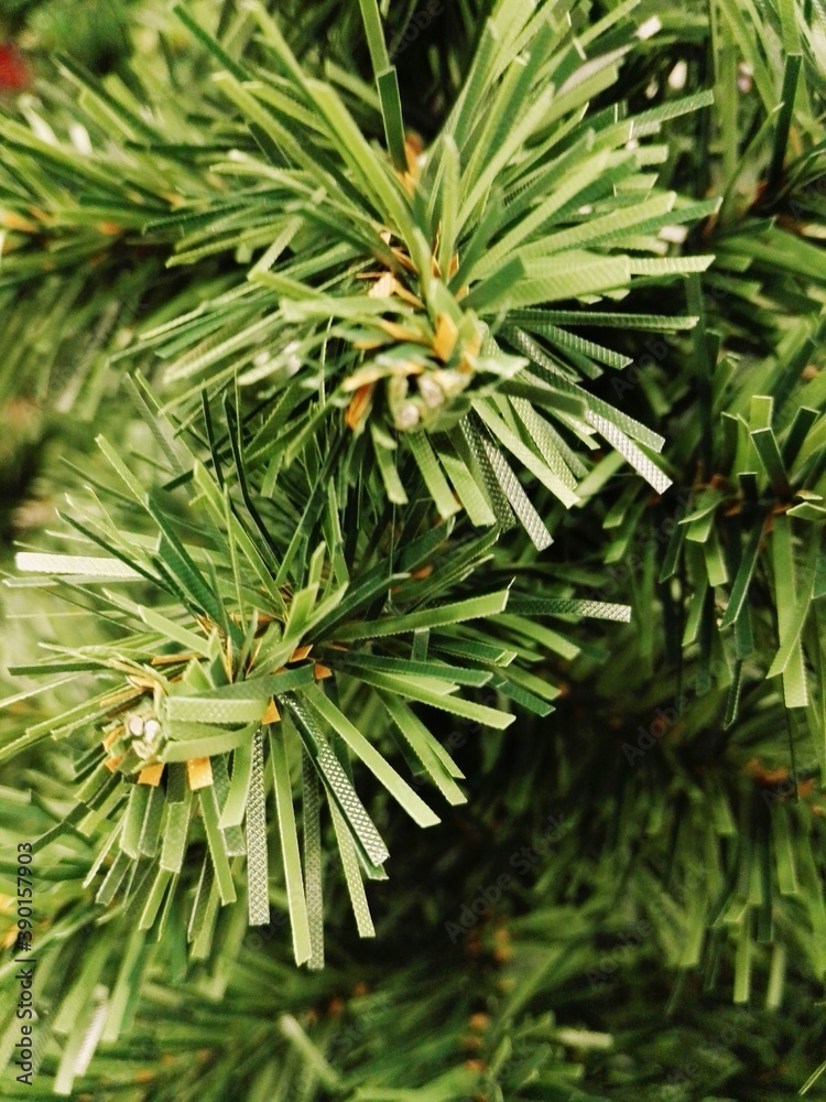 Pine needles. The Christmas tree is shot up close. Pine needles. The Christmas tree is shot up close.