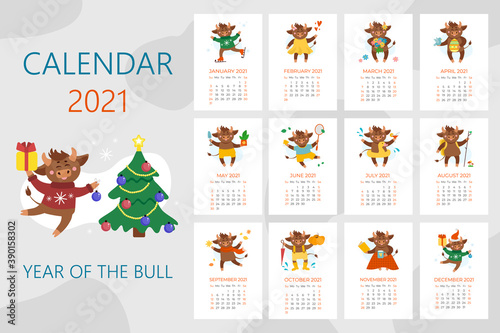 Vector calendar illustrations for 2021. Year of cow  ox or bull concept. Christmas holidays  xmas illustrations