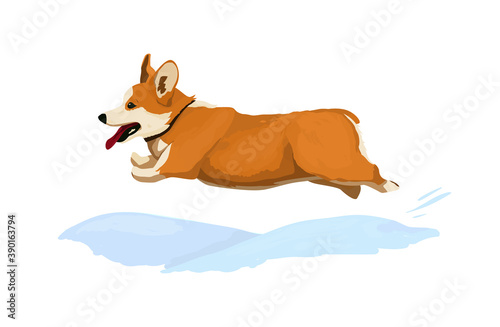 Vector illustration of a corgi dog runs fast in cartoon style. Christmas sticker with snow or print on a mug or card with a corgi
