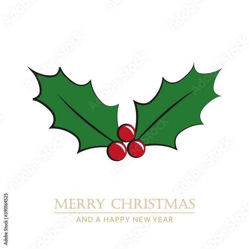 christmas holly berry isoladet on white vector illustration EPS10