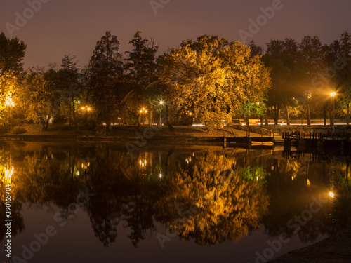 Reflection of trees at night. Evening view in the city park on the shore of the illuminated lake, reflected in the water