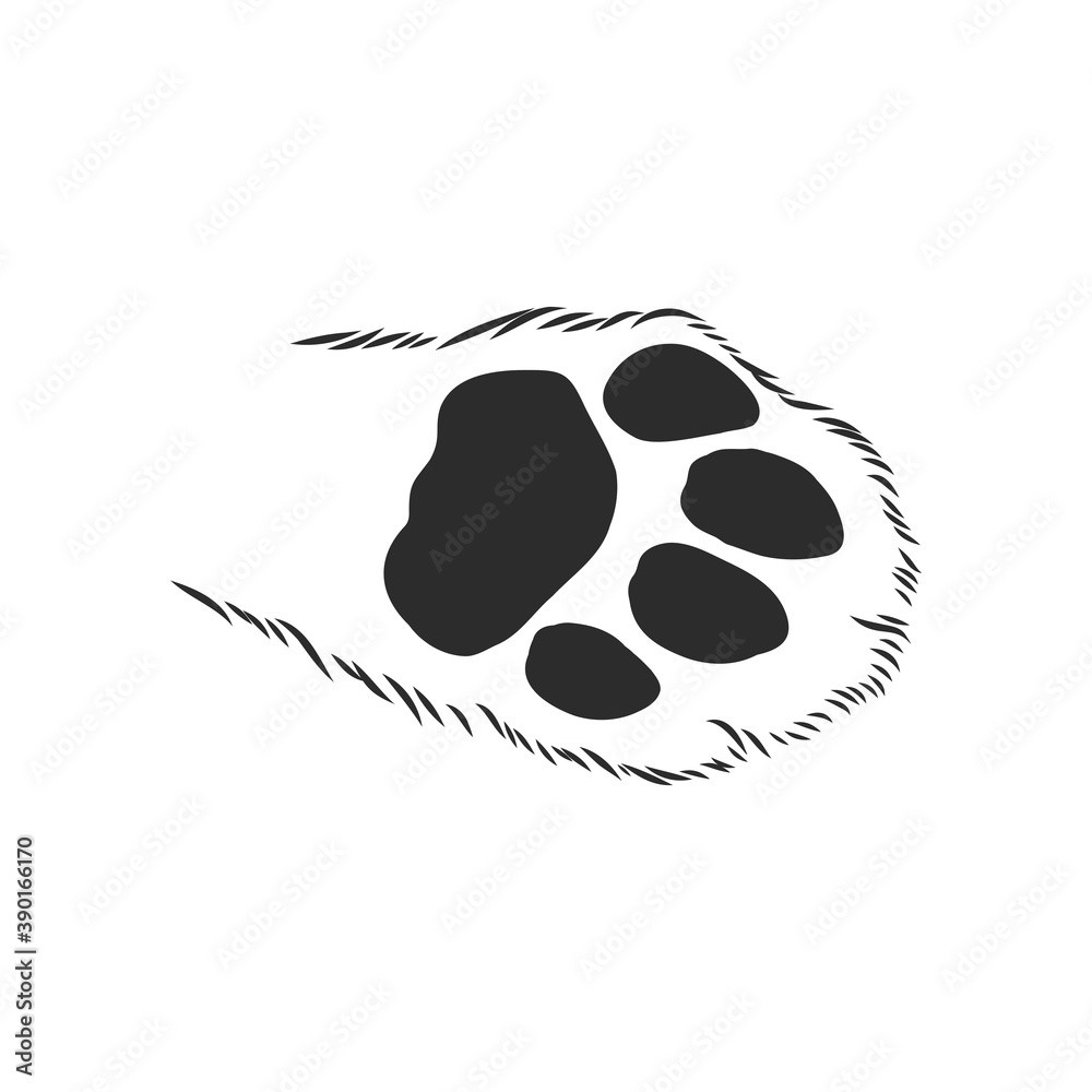 cat's paw with the pads pulled up sketch vector graphics black and white drawing, cat's paw