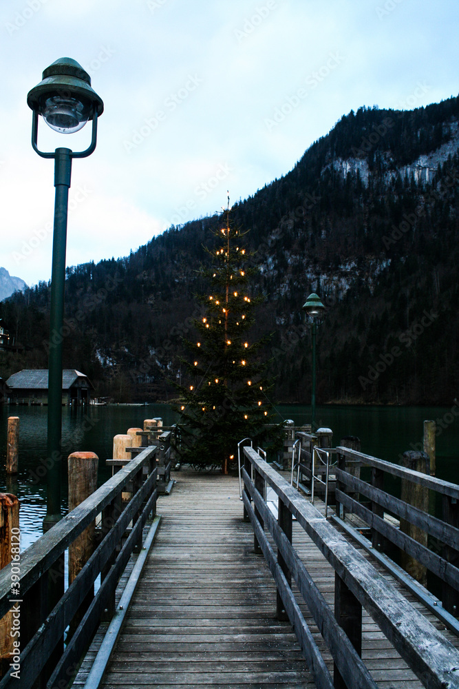 christmas treeby the lake