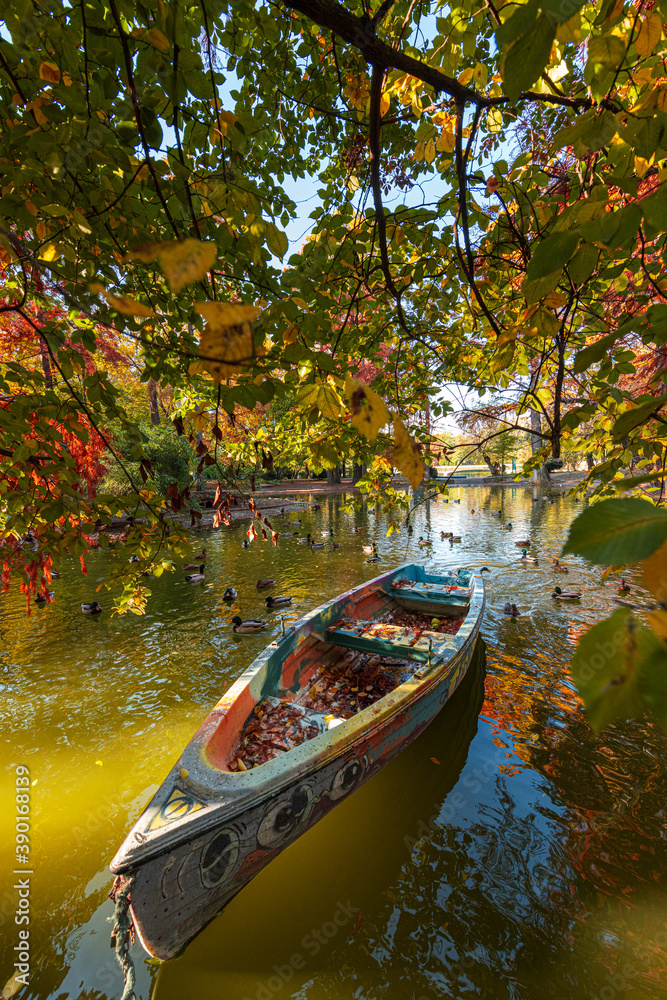 Autumn morning sunrise in Carol Park from Bucharest with amazing fall coloured tree leaves and blue sky