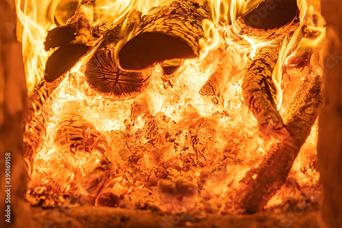 wood is burning in the fireplace