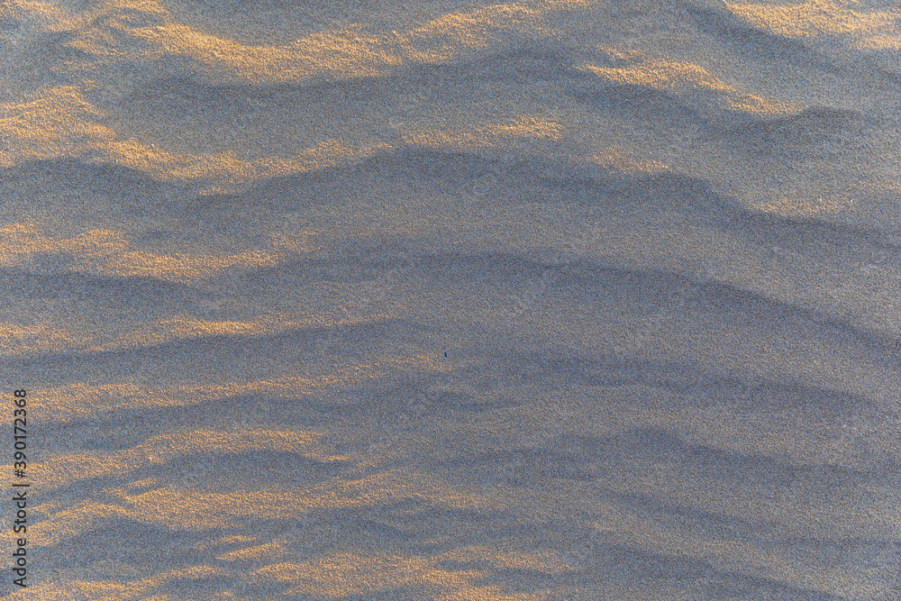 Fototapeta premium Sand texture on the beach after the wind