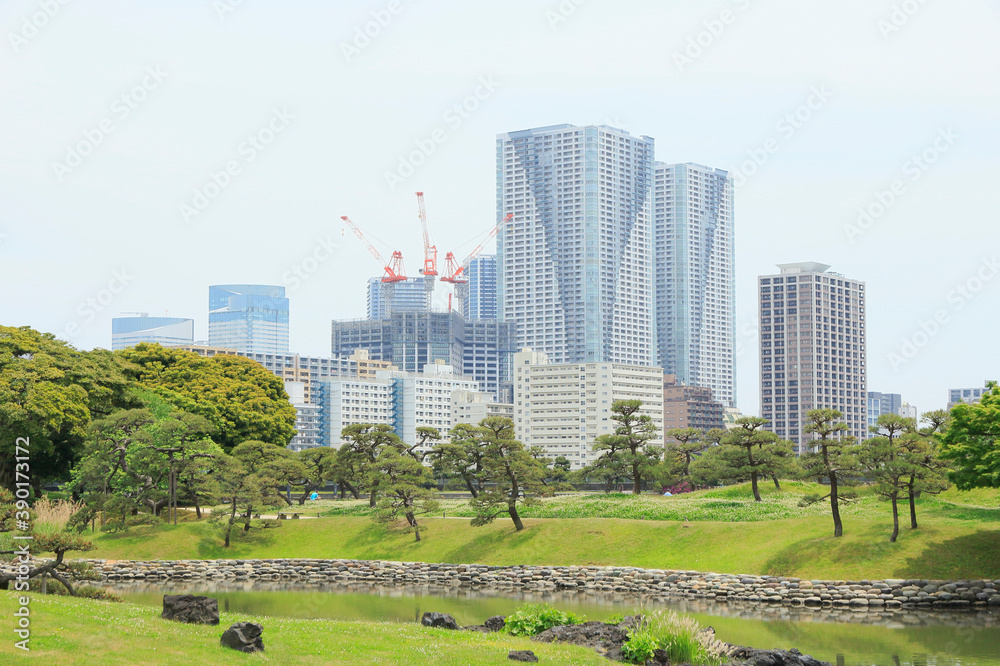 Obraz premium 浜離宮庭園と勝どきのタワーマンション