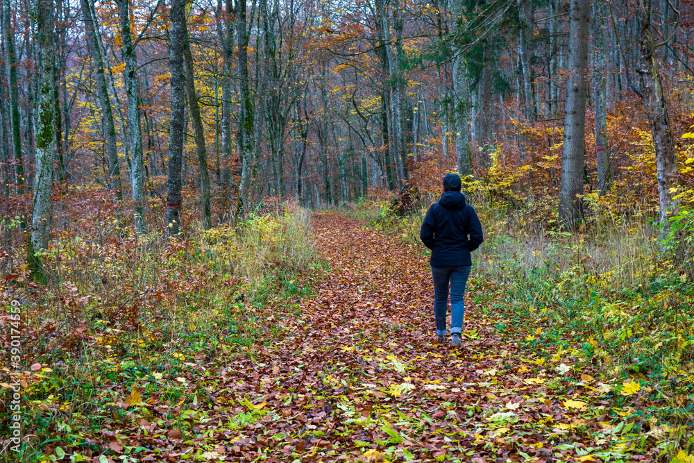 Herbst im Oberen Donautal bei Beuron