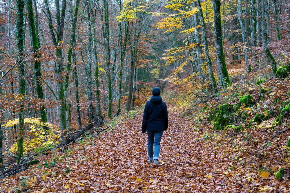 Herbst im Oberen Donautal bei Beuron