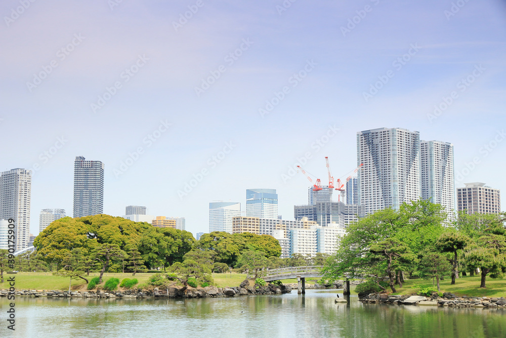 Obraz premium 浜離宮庭園と勝どきのタワーマンション