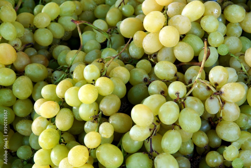 clusters of white grapes fruits close out clusters of white grapes fruits close out