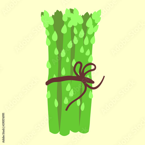 Asparagus, hand drawn vector illustration