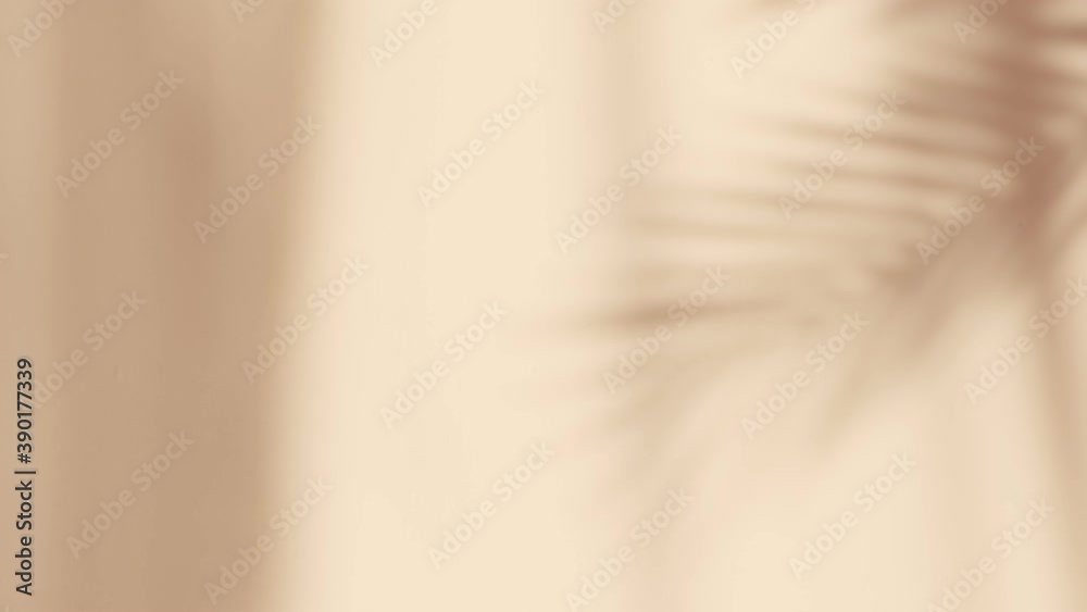 Abstract silhouette shadow background of natural leaves tree branch falling on wall. Transparent blurry shadow of tropical leaves morning sun light.