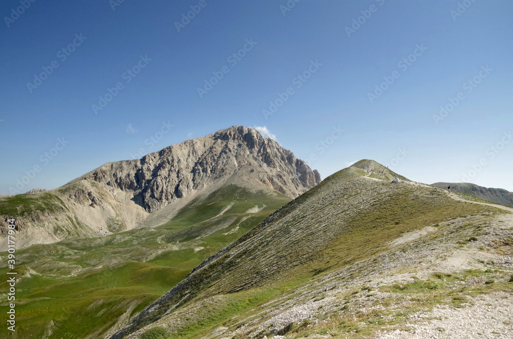 Fototapeta premium Sua Maestà.