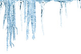 Fresh blue icicles in winter on a white background