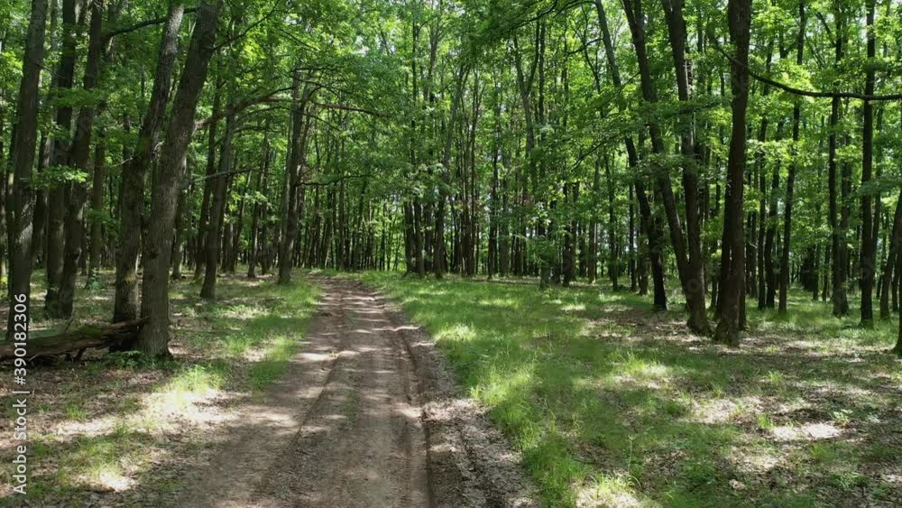 The sun casts its beautiful rays into the fresh green forest in europe. Drone slide. The sun casts its beautiful rays into the fresh green forest in europe. Drone slide.