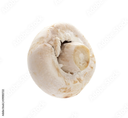 champignon isolated on a white background.