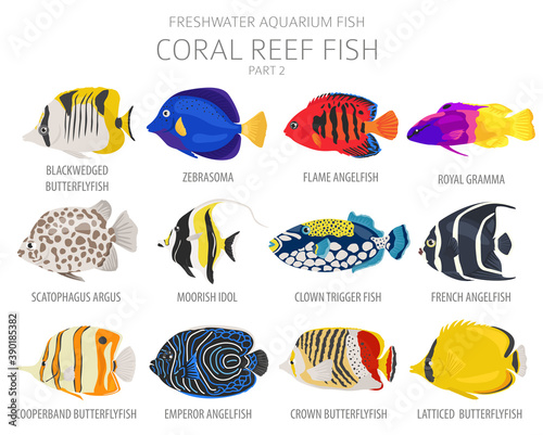Coral reef fish. Freshwater aquarium fish icon set flat style isolated on white