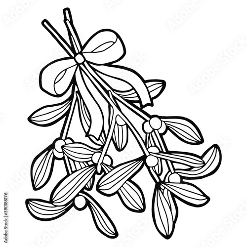 Vector illustration. Hand drawing Christmas art. Festive decorations. Coloring page. Minimalistic line art. Branch of mistletoe with a bow.