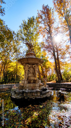 Fuente y paisaje otoñal, árboles con diversas tonalidades, Jardín del Príncipe, Aranjuez, Madrid, España