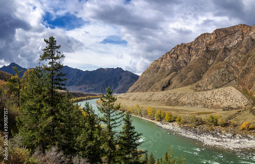 The Katun river in the fall, Russia, Altay