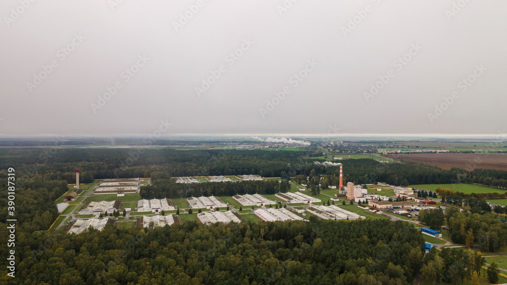 Fototapeta premium Overall plan of aerial photo of a sugar factory during the beet campaign, photo taken with a drone. Industrial concept. Ecological problem.