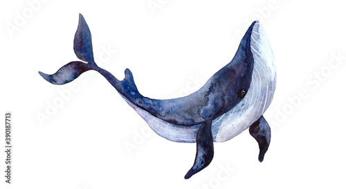 Fotografie, Obraz Watercolor whale, hand-painted illustration isolated on a white background