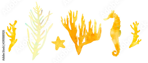 Coral reef watercolor illustration elements. Hand drawn underwater sea life decorative set. Beautiful bright corals, starfish, aglae, seahorse, marine life on white background