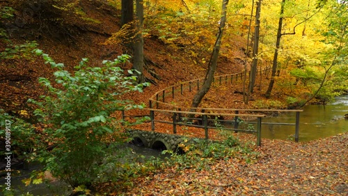 bridge in the autumn forest park photo