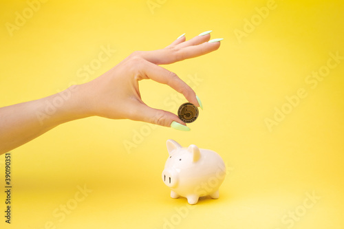 Przychód - finanse - tarcza antykryzysowa - polskie pieniądze i świnka skarbonka