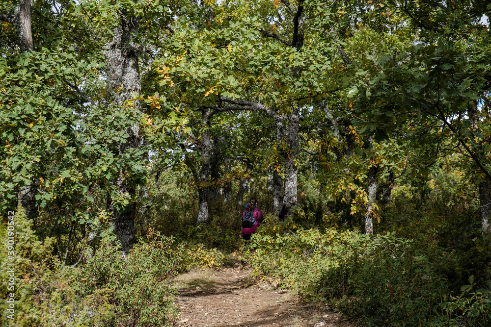 Sierra Norte de Guadalajara Natural Park, Cantalojas, Guadalajara, Spain