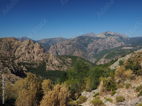 Landscape from Corsica in the mountains made of rocks and forest