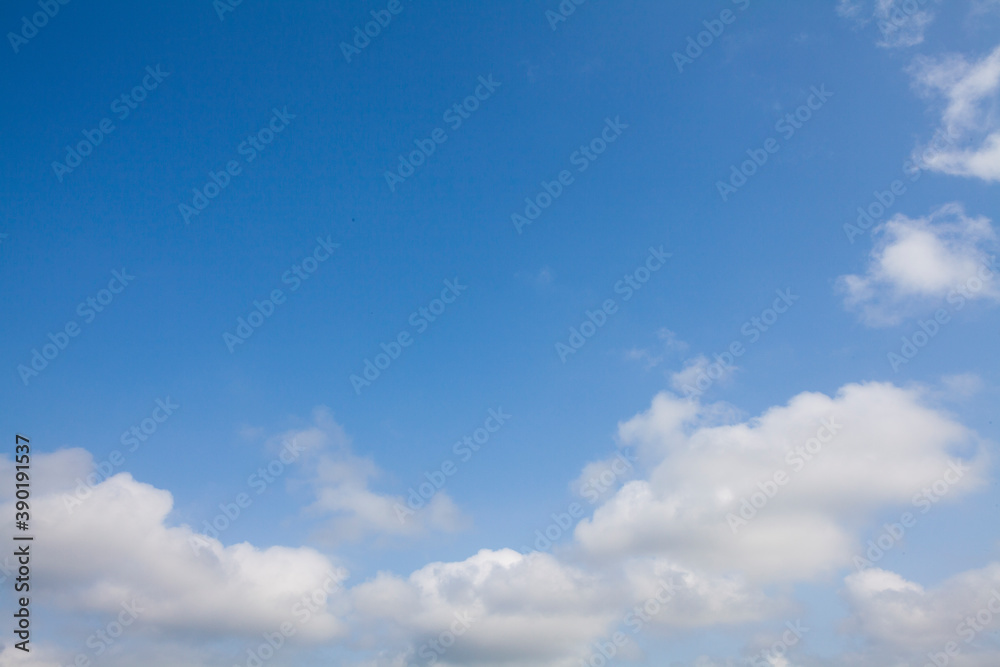 初夏の空