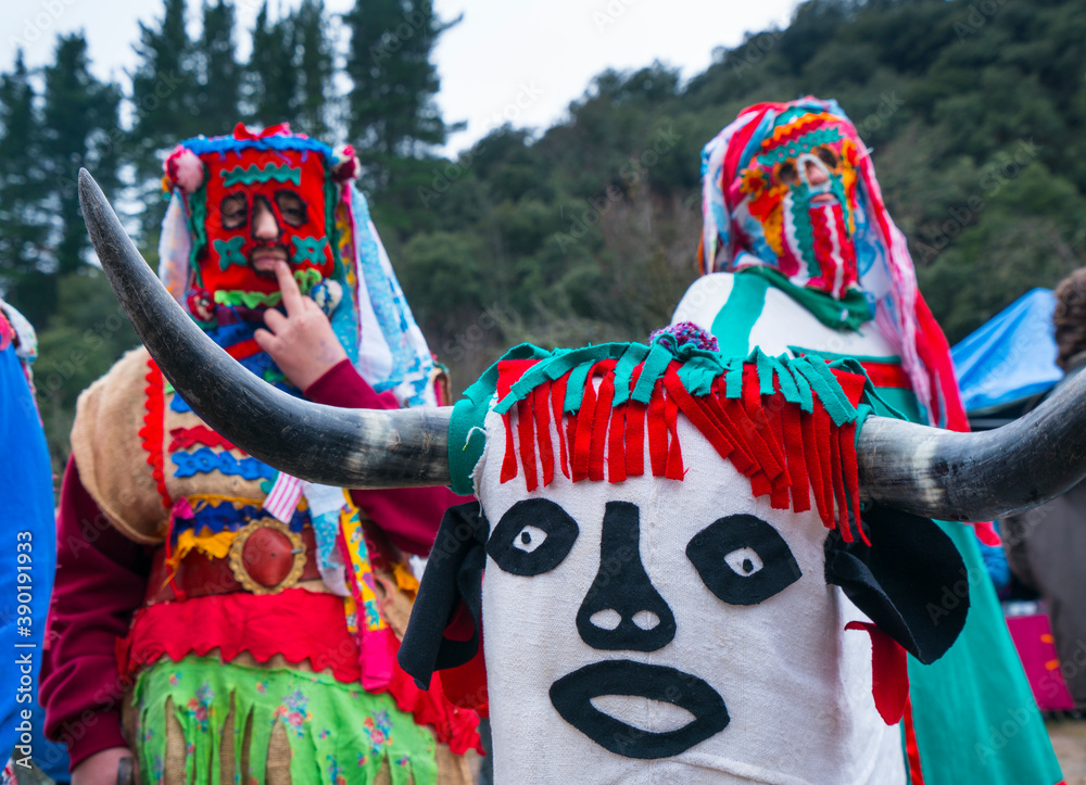 Εκτύπωση καμβά Carnival La Visparra, San Martin de Castañeda, Zamora, Castilla y Leon, Spain,