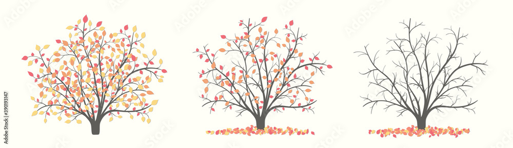 Autumn bush in three versions with leaves and without leaves Autumn bush in three versions with leaves and without leaves