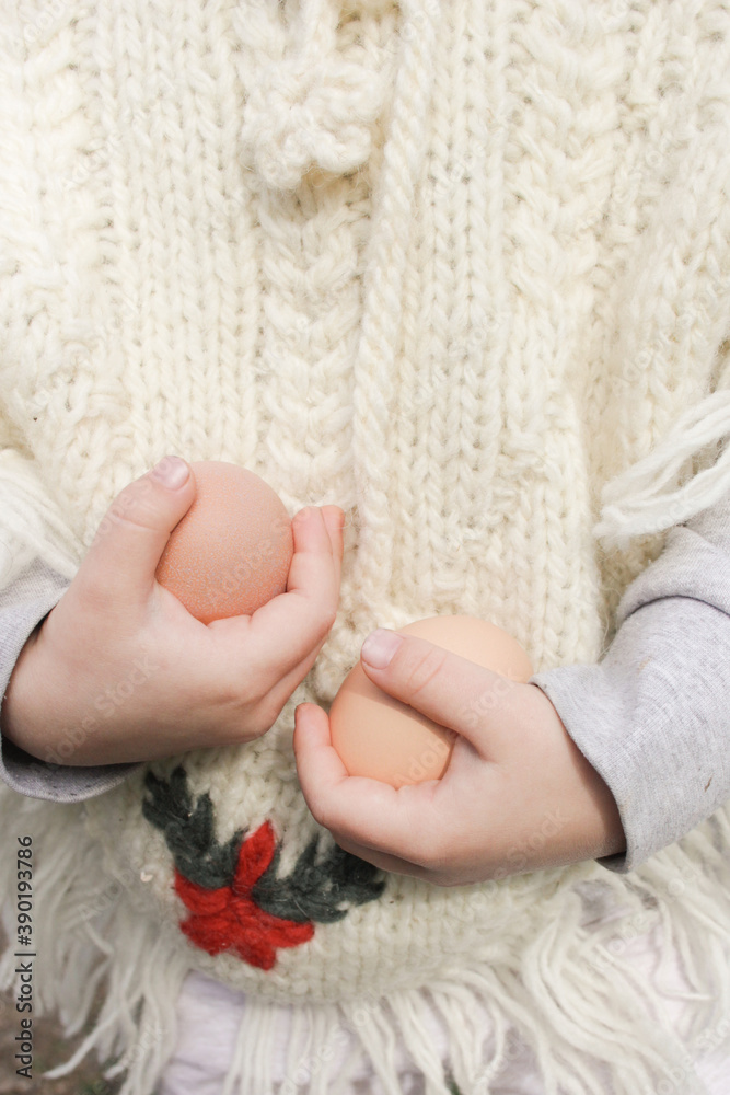 Toddler girl in wool sweater holding fresh organic eggs on the farm Toddler girl in wool sweater holding fresh organic eggs on the farm