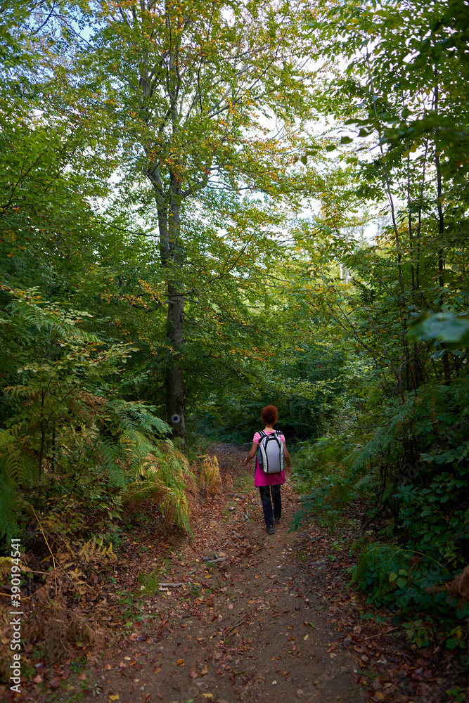 Backpacker lady in the forest Backpacker lady in the forest