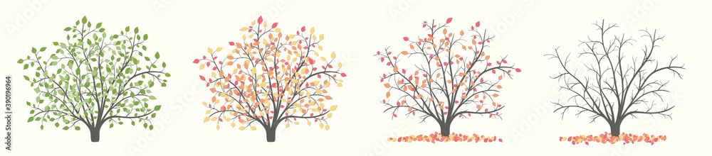 Bush plants in four versions summer and autumn Bush plants in four versions summer and autumn