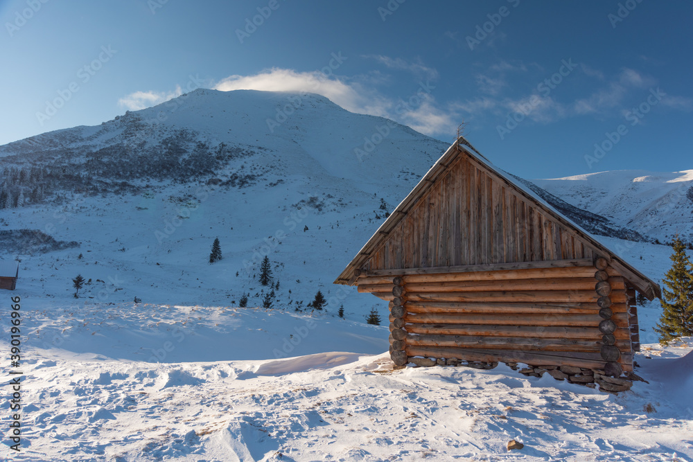 Snowy winter in the Ukrainian Carpathians and picturesque mountain houses