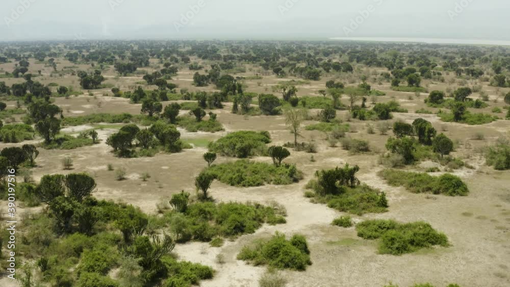 The Queen Elizabeth National Park in Uganda, Africa with vast plains full of trees and desert The Queen Elizabeth National Park in Uganda, Africa with vast plains full of trees and desert