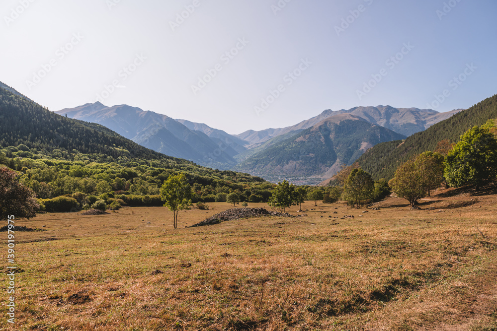 Rural landscape in the mountains. Trees on the field and mountains in background. Autumn meadow.
