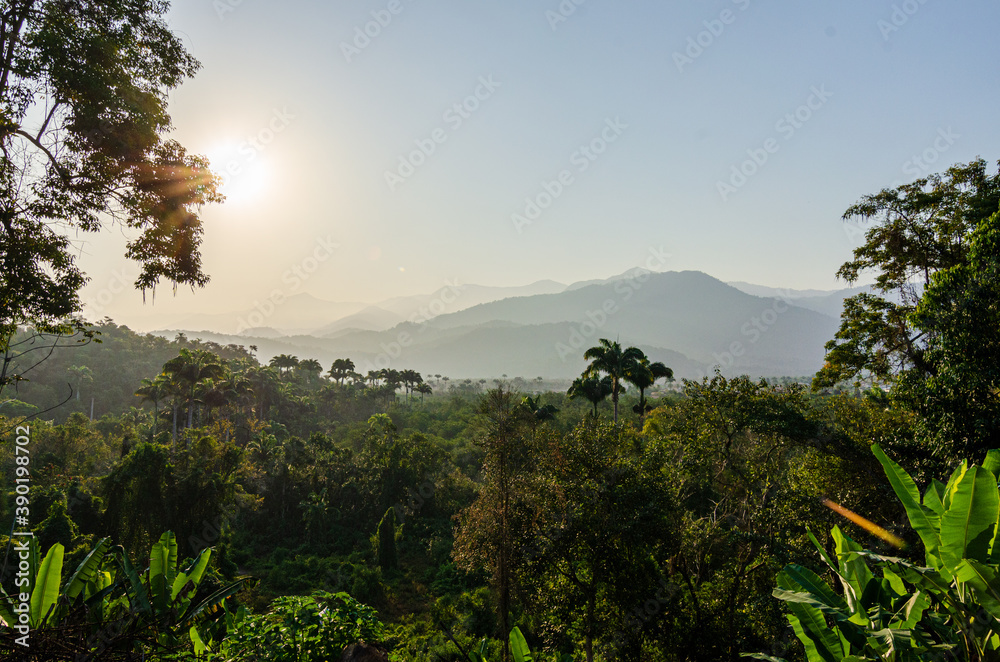 Scenic view of forest mountains with tropical foliage and a morning mist sky