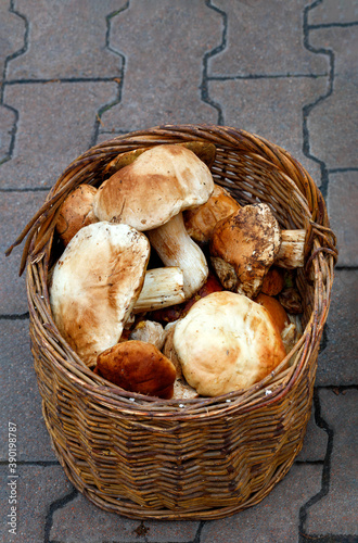 A bunch of porcini mushrooms in an old wicker basket against a background of gray paving slabs.