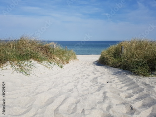 Fototapeta Naklejka Na Ścianę i Meble -  Entry to the beach of the Baltic Sea in Germany