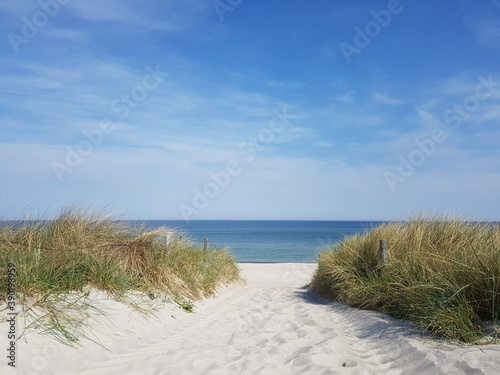 Fototapeta Naklejka Na Ścianę i Meble -  Entry to the beach of the Baltic Sea in Germany