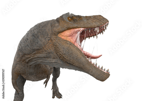 tyrannosaurus rex close up view