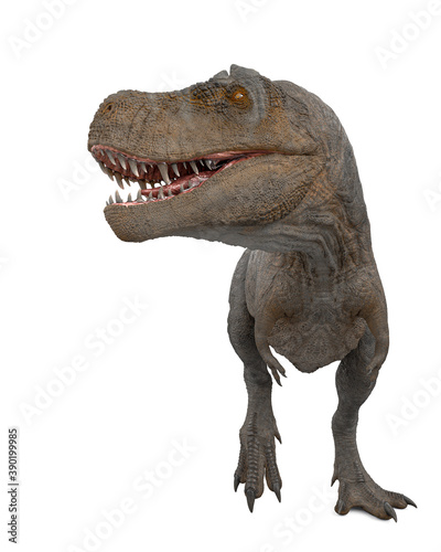 tyrannosaurus rex is looking for food © DM7