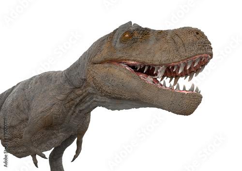 tyrannosaurus rex side view