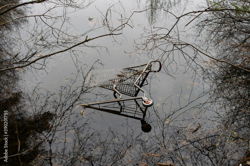 abandoned shopping cart