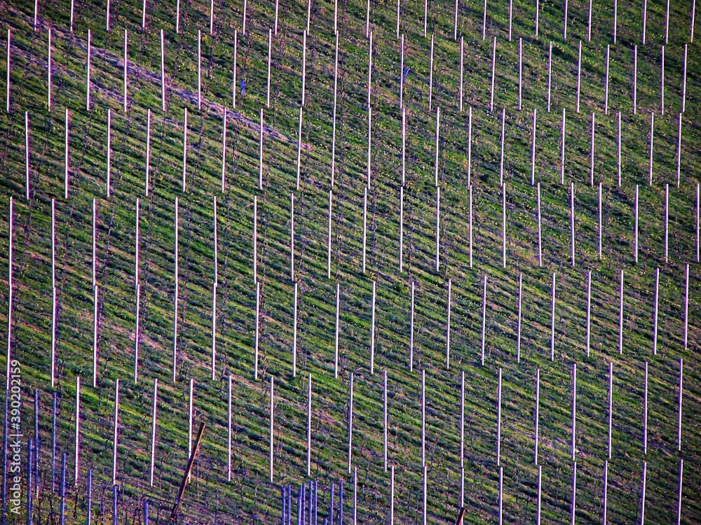 Obraz premium OLYMPUS DIGITAL CAMERA